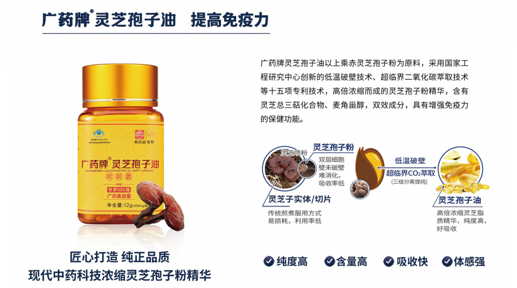 微信图片_20260513174444_853_4.png